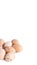 Group of dirty chicken eggs on white background, with shadows, domestic healthy food. Vertical banner with space for text