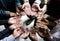 Group of diverse hands palms circle support together teamwork aerial view