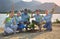 group of diverse volunteers planting trees in evening sun