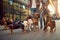 Group of dog walking on leash with couple professional dog walker