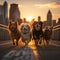 Group of dogs enjoys a sunset stroll in New York City