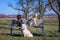 Group of dogs pose on a park bench