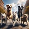 a group of dogs striking dynamic poses in a city park trending on artstation sharp focus studio