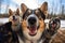 A group of dogs taking a selfie on a blurred background. Generative AI