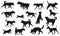 Group of dogs various breed. Black dog silhouette. Running, standing, walking, jumping, sniffing dogs. Isolated on a