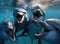 A group of dolphins looking at the camera