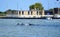 A group of dolphins swimming near Indian River Inlet by Bethany Beach, Delaware, U.S.A