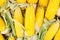 Group dried yellow corn cereal background