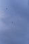 Group of drones in blue sky background