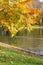 Group of ducks on city water with beautiful fall foliage