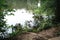 Group of ducks swimming along a river surrounded by lush native bush in a local park in a small rural town.