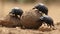 A group of dung beetles rolling a ball of dung created with Generative AI