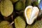 Group of durian in the market.