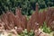 Group of Earth Pyramids in Italy