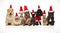 Group of eight adorable santa cats and dogs with costumes