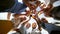 Group of eight happy friends looking down at camera and toasting