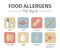 A group of the eight major allergenic foods is often referred to as the Big-8