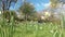 A group of elderly people walking in Fenton park, Stoke-on-Trent