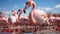 A group of elegant pink flamingos wading in a tranquil pond generated by AI
