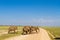 A group of elephants. Amboseli, Kenya