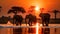 A group of elephants making their way across a water body, The silhouette of elephants at sunset in Chobe National Park, Botswana