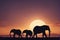 Group of Elephants standing against the setting sun