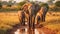 Group of elephants walking in the savannah. Family of African elephants in the wild walking near water. Wildlife image of