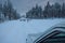 A group of elk or animals deer on the snowy icy road in Sweden in winter time. Dangerous situation in the evening, car stopping in