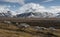 Group of endemic Svalbard reindeer eating grass in a valley