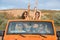 Group of excited young friends standing in a car with hands raised