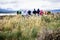 Group of explorers walking in Isla Martillo to visit penguins, t