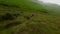 Group of extreme off road enduro motorbike riders down from mountain ridge at dense grass motocross