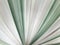 A group fabric smooth elegant green and white for cloths texture