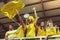 Group of fans dressed in yellow color watching a sports event