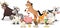 Group of farm cartoon animals. Vector illustration of funny happy animals.