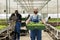 Group of farm workers in eco greenhouse