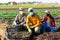 Group of farm workers in masks posing with crates at plantation