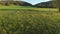 Group of farmers finishing mowing the filed