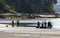 Group of fishermen entering to the beach to collect clams and mussels from the beach with their shellfish rakes.