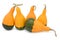 Group of five smooth-skinned, pear-shaped ornamental gourds