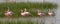 Group flamingos on the lake. Kenya. Africa. Nakuru National Park. Lake Bogoria National Reserve.