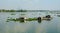 Group of floating house on lake in southern Vietnam