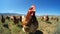 A group of a flock of chickens standing in the grass, AI