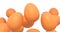 Group of flying farm raw organic brown chicken eggs flying on white background