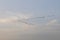 Group of flying geese, cloudy sky as background