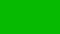 A Group of Flying Insects on a Green Screen Background