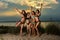 Group of four models wearing bikinis posing at sunset beach.