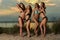 Group of four models wearing bikinis posing at sunset beach.