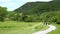 Group of four people walking mountain valley path