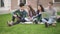 Group four students doing new job, talking, sitting on campus background.